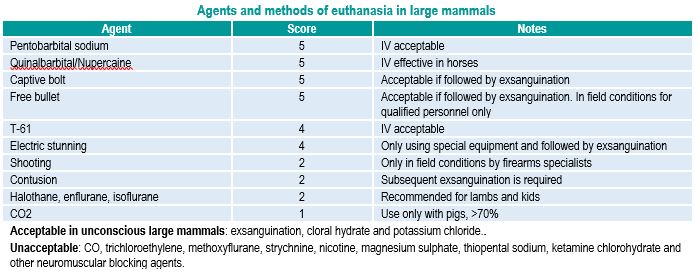 Eutanasia mamiferos